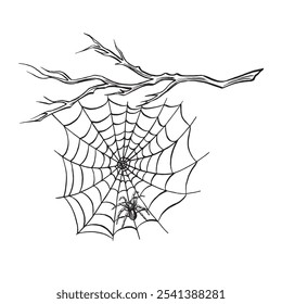 Spider with web on the bare tree branch. Line sketch. Spooky trap of insect thread. Vector graphic illustration, hand drawn isolate. Black and white animal in the nature. Clipart for postcard, print.