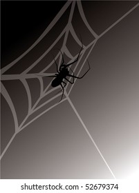 spider with web on black