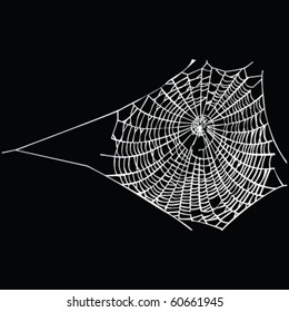 telaraña sobre negro