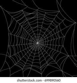 Spider web on black
