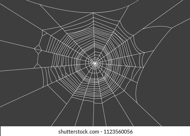 spider with web on a black background vector art