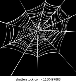 Spider web on black background.