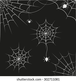 Spider web on black background. Vector