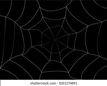 Spider web on Black Backgrounds - 
Silk, Line, Spider Web, Vector, Halloween
