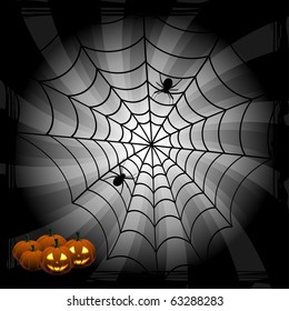 Spider and web on the b-w burst background