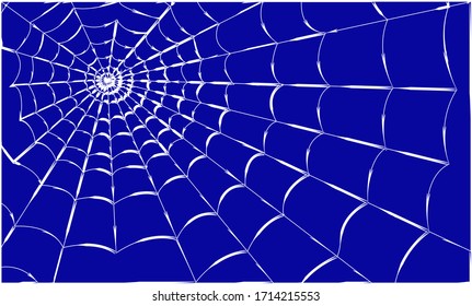 Spider web on a colored background