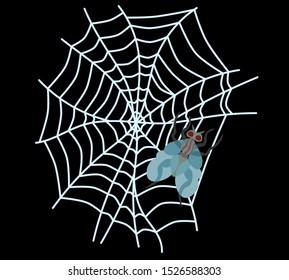 spider web on a dark background vector work. the fly is tangled in the net