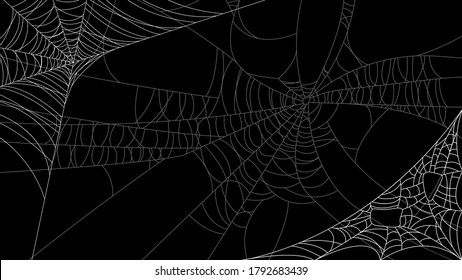 Spider Web On Dark Background Halloween Design Elements Spooky Scary Horror Decor Vector