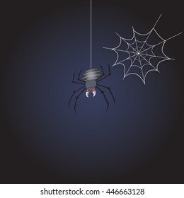 Spider and spider web on dark blue background.