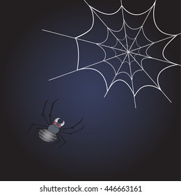 Spider and spider web on dark blue background.
