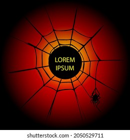Spider web on dark gradient background