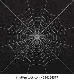 Spider web on dark grunge background