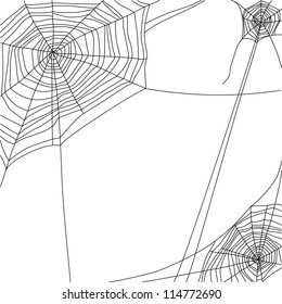 Spider Web On White Background