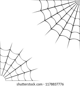 Spider web on a white background. Vector illustration