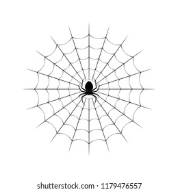 Spider web and spider on a white background. Vector illustration