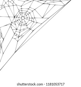 Spider web on a white background. Vector illustration