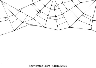 Spider web on a white background. Vector illustration