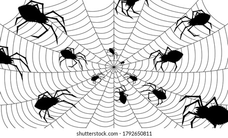 Spider Web On White Background. Halloween Design Elements. Spooky Scary Horror Decor Vector.