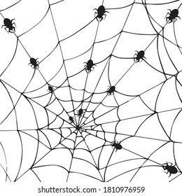 Spider Web On White Background. Halloween Design Elements. Spooky Scary Horror Decor Vector.