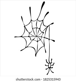 Spider web and spider on a white background. Vector illustration