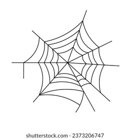 Spider web on white background