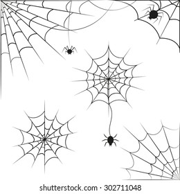 Spider web on white background. Vector