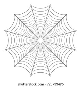 Spider web on white background