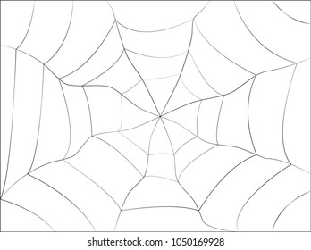 Spider web on White Backgrounds - 
Silk, Line, Spider Web, Vector, Halloween