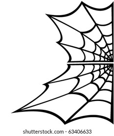 spider web over white background