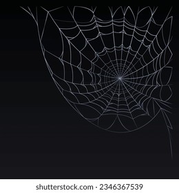 Spider web parts tangled spiderweb hanging isolated on black editable background