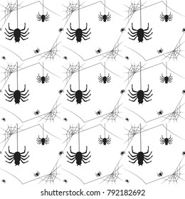spider web pattern