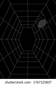 Spider web pattern with place for text. Insect. Internet network. Web Halloween holiday. Poster. Template for text. Vector. Background image. Abstraction. Black and white. Horror.