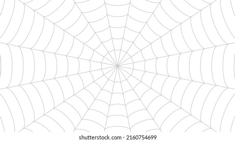 Spider web pattern vector background.
