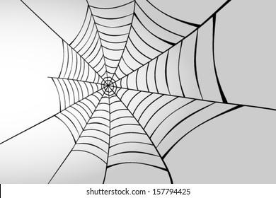 Spider web in perspective