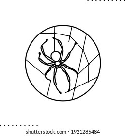 spider web, poisonous insect vector icon in outline