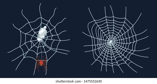 spider web spider and prey mummy crawls insect on a blue background
