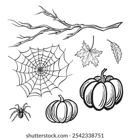 Spider with web, pumpkins, branch and leaves. Set autumn sketch. Vector line illustrations, hand drawn isolated. Dangerous insects. Black and white doodle. Clipart for Halloween card, sticker, tattoo.