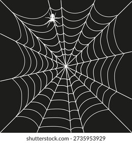 Spider web, realistic white web on a black background, web with a spider. Vector, designer illustration, web banner. Vector.