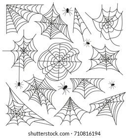 Spider web. Scary halloween cobweb decoration. Horrorarachnid spiderweb elements. Scary animal netting design.