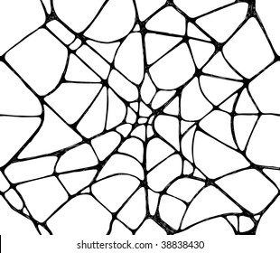 Spider web, seamless