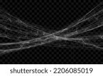 Spider web set. Cobweb illustration for halloween design. Vector background