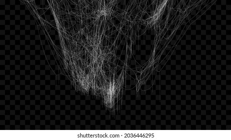 Spider web set. Cobweb illustration for halloween design. Vector background