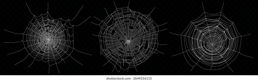 Spider web set. Cobweb illustration for halloween design. Vector background