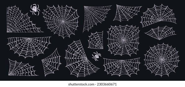 Spider and web set. Concept Halloween decoration design. Cobweb collection elements illustration