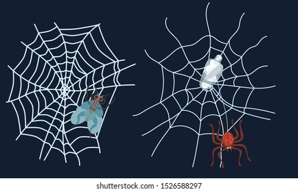 spider web set in flat style.a fly caught in a predator trap