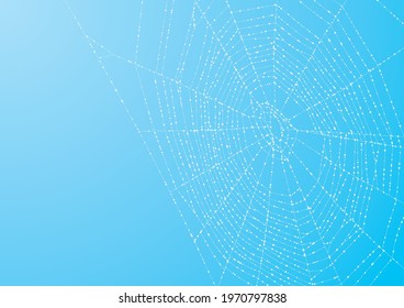 A spider web with shining morning dew svg