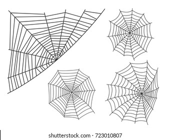 Spider web silhouette arachnid fear graphic flat scary animal design nature insect danger horror vector icon.