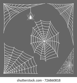 Spider web silhouette arachnid fear graphic flat scary animal design nature insect danger horror vector icon.