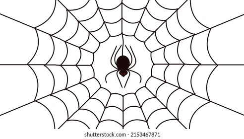 spider web silhouette spider black white background vector illustration