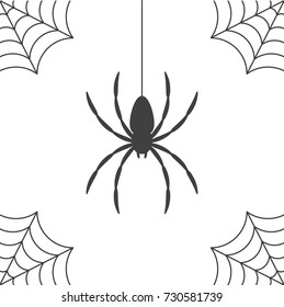 Spider web and spider silhouette, icon